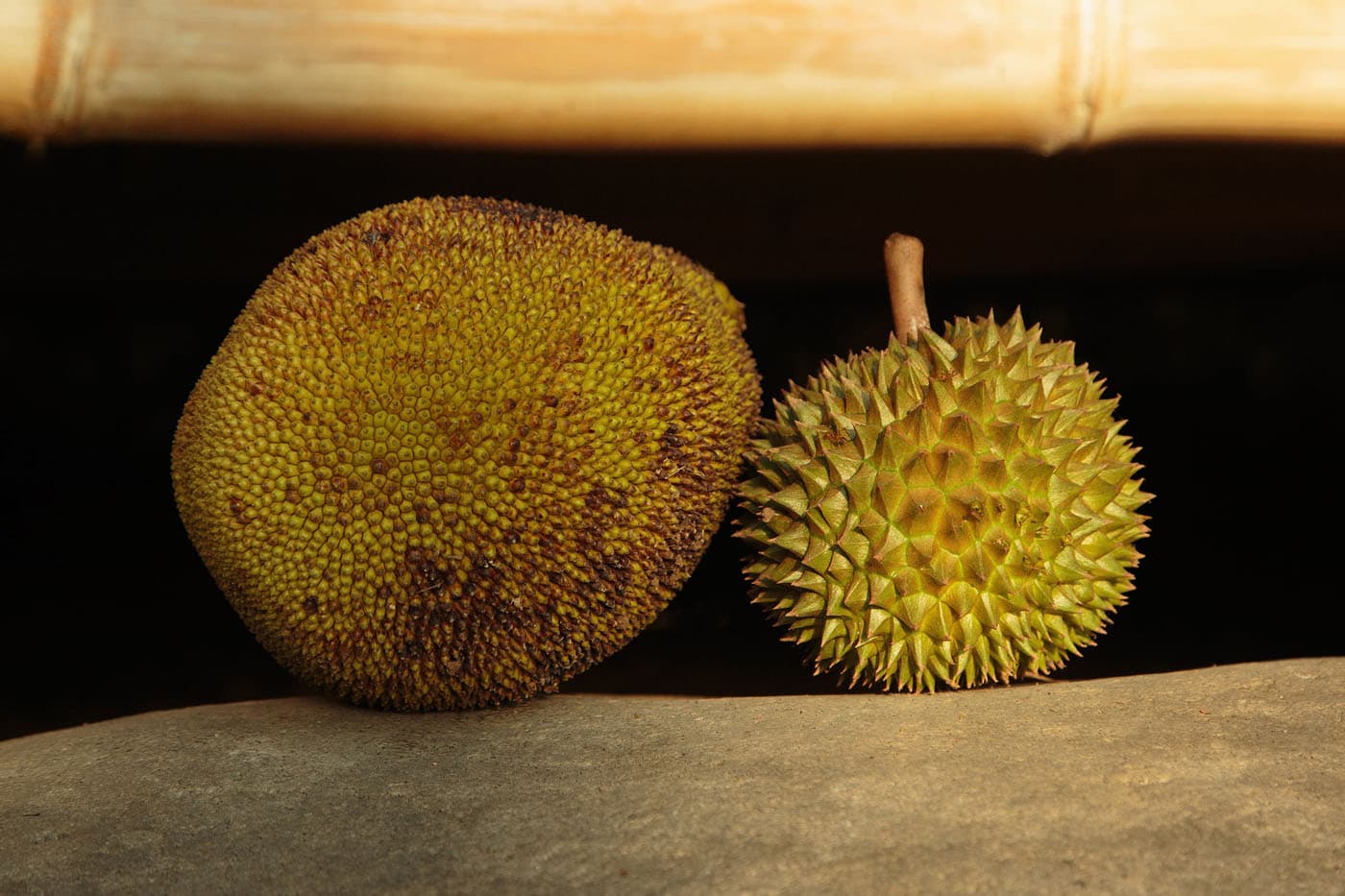 Jackfruit and Durian