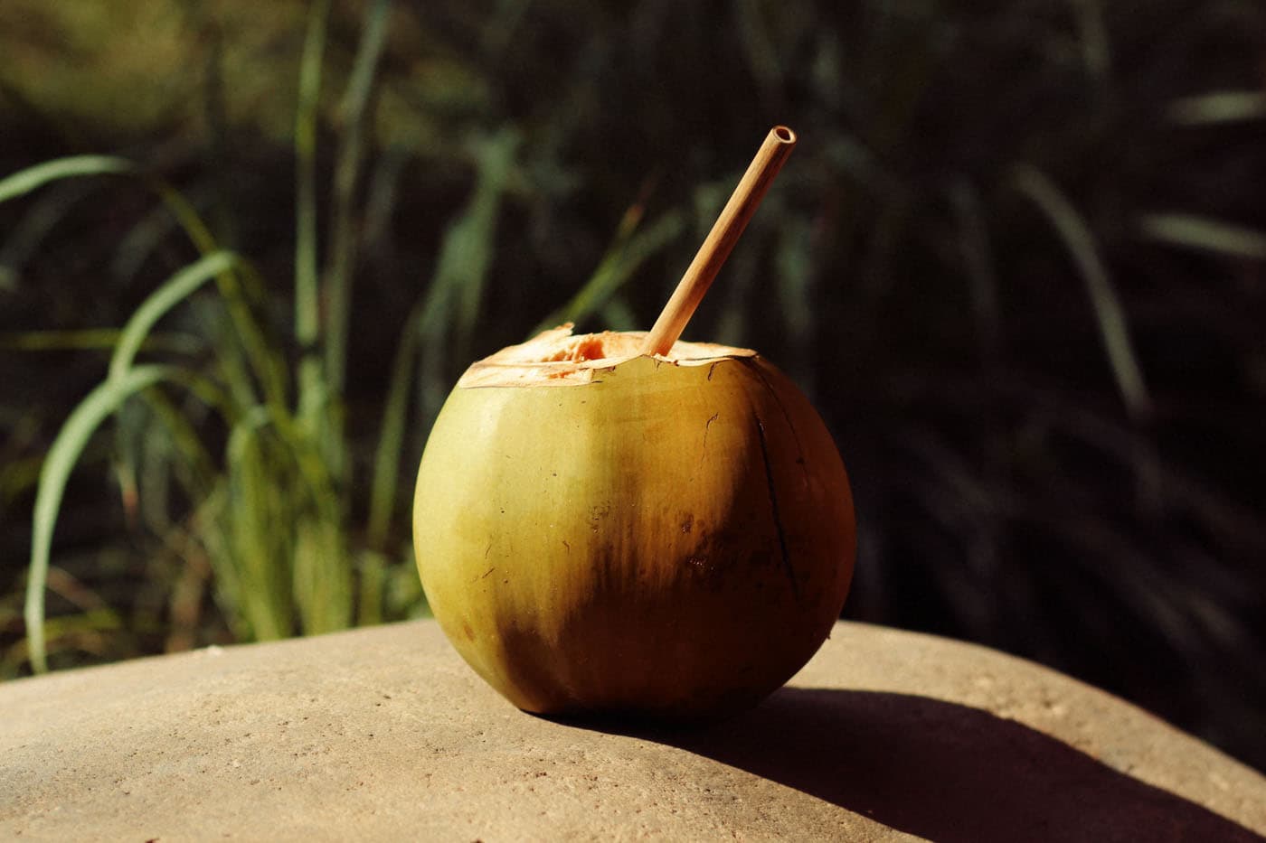 Bamboo straw in coconut