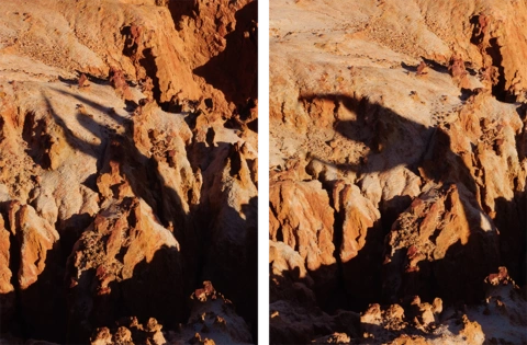 ZGFX2205_2200_crops2.png
