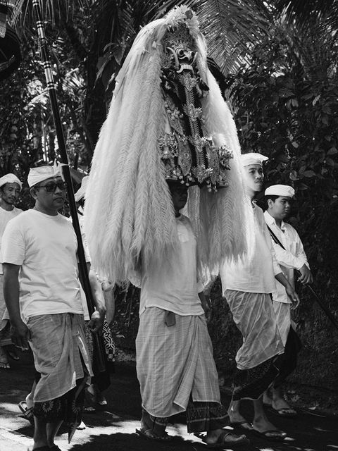 ZGFX7510_bw2_1600.jpg