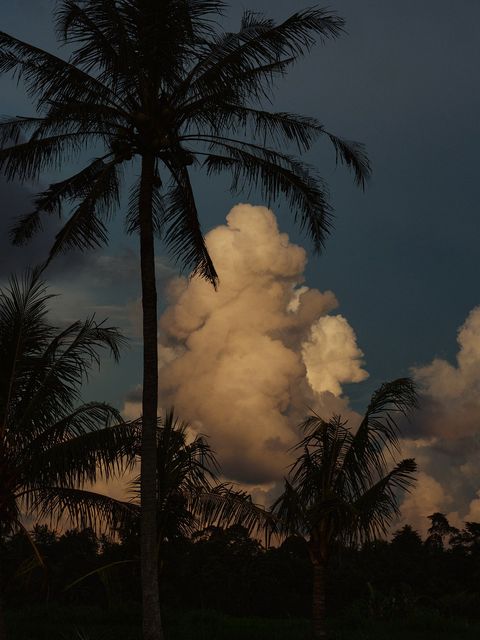 ZGFX7546_crop_1600.jpg